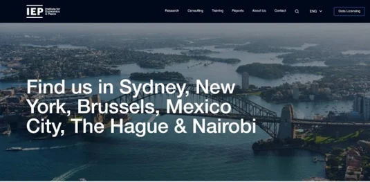 Connecting Peacebuilders Across Borders: My Journey as an IEP Ambassador - Screenshot 3