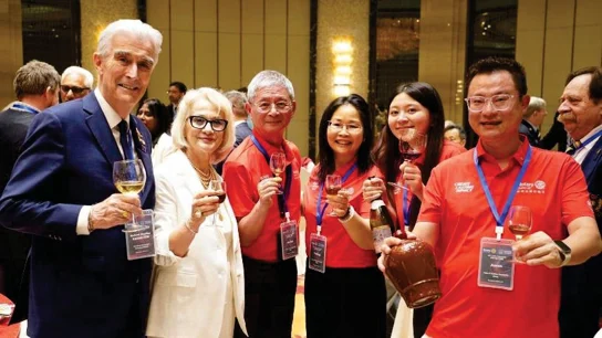 From Taipei to Shanghai: How ICCs Keep Rotary Connected for Peace - Screenshot 6
