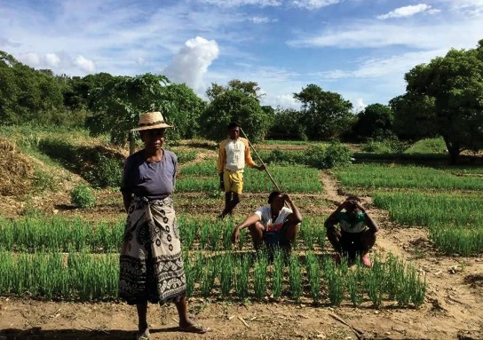 Investing in the Women and Men Who Feed the World - Screenshot 1