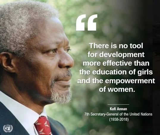 Rotary Beyond Volunteering: The Professional Capital That Can Unite Countries - Screenshot 2